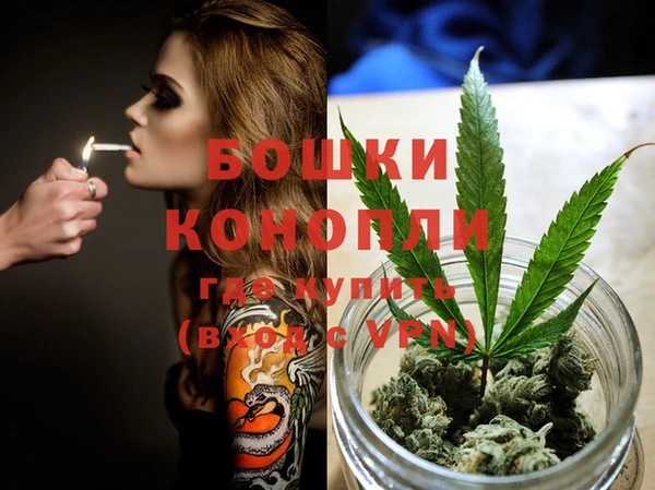 PSILOCYBIN Костерёво