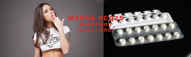 MESCALINE Коряжма