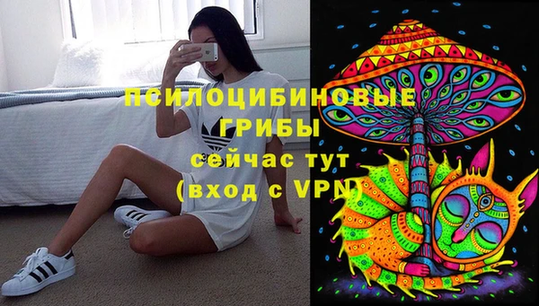 mdpv Корсаков