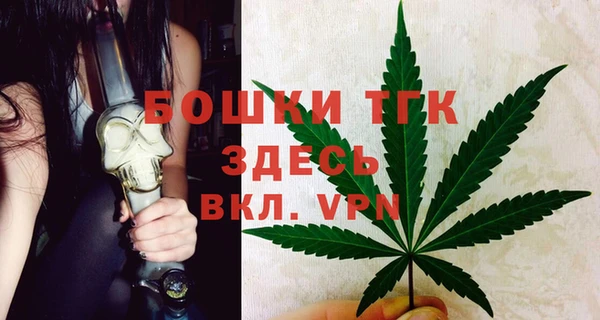PSILOCYBIN Костерёво