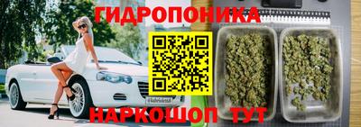 spice Гатчина