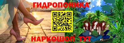 spice Гатчина