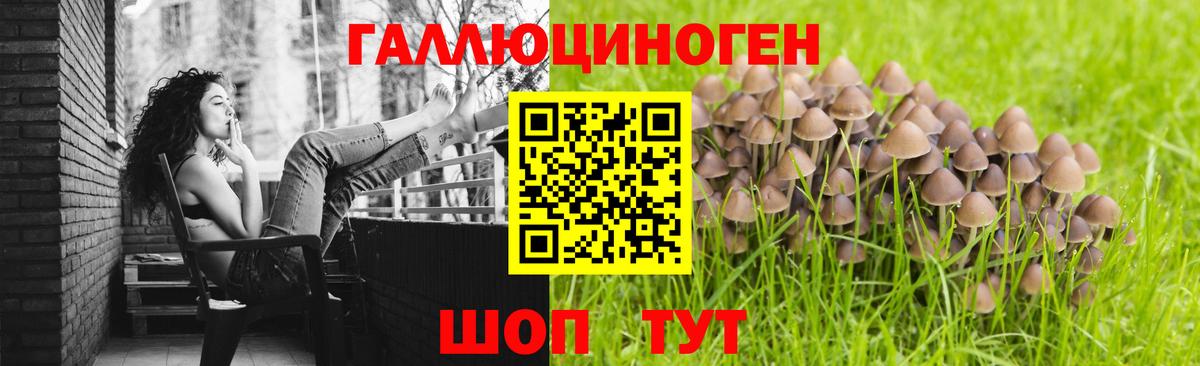 Галлюциногенные грибы Cubensis Егорьевск