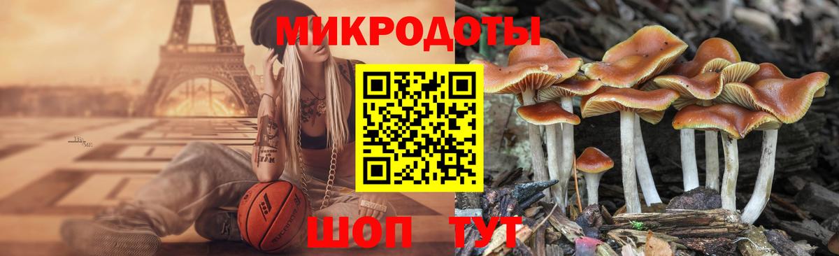 Псилоцибиновые грибы MAGIC MUSHROOMS  Галлюциногенные грибы мицелий  Вход с VPN  Егорьевск 